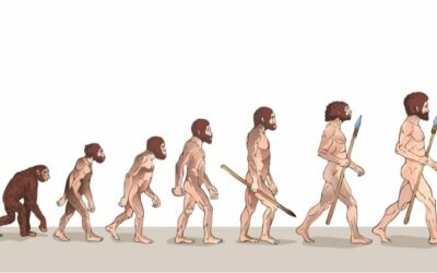 ¿Qué es la Teoría de Darwin? Evolución y selección natural