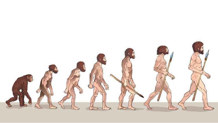 ¿Qué es la Teoría de Darwin? Evolución y selección natural