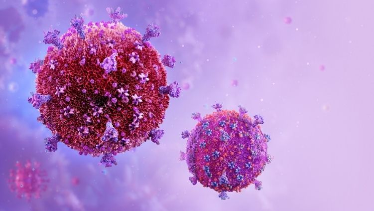Autoinmunidad e inmunodeficiencia: causas y enfermedades más comunes