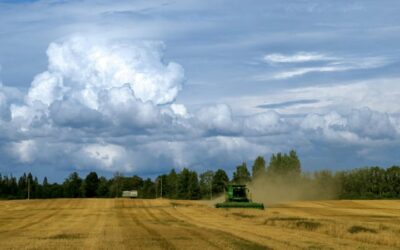 Agricultura, biotecnología y cultivos: todo lo que debes saber