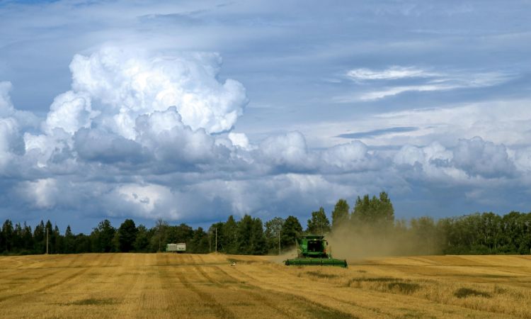 Aprende cómo se relacionan agricultura y biotecnología y especialízate