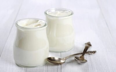 ¿Cuáles son las bacterias presentes en el yogur y cómo afectan a la salud humana?