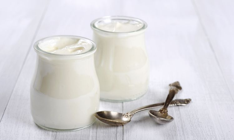 Conoce cuáles son las bacterias del yogur