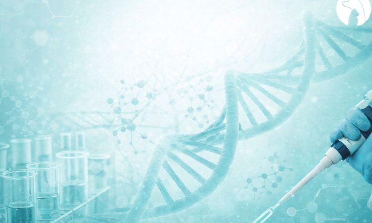 Ilustración científica de laboratorio con ADN, pipeta, tubos de ensayo y estructuras moleculares representando el diagnóstico molecular y la investigación biomédica.