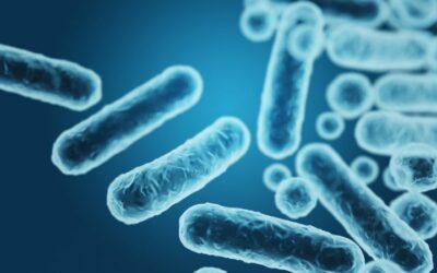 ¿Qué es la genética bacteriana y qué estudia?