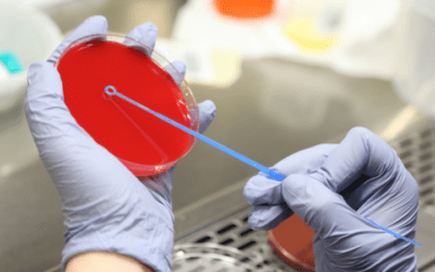 Método de identificación bacteriana en el entorno clínico actual