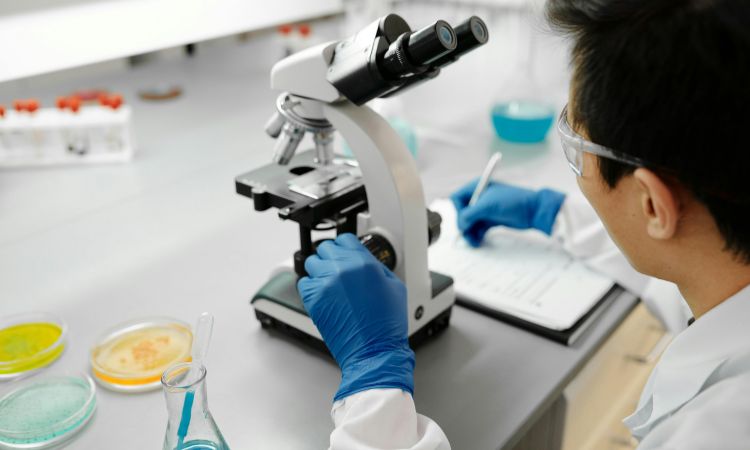 Microbiología y parasitología: qué es y qué estudia