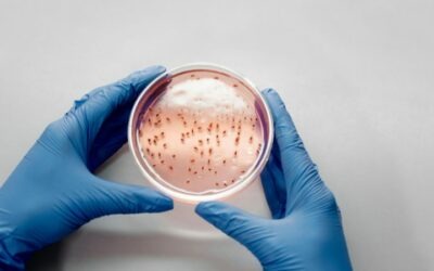 ¿Qué son los microorganismos recombinantes?