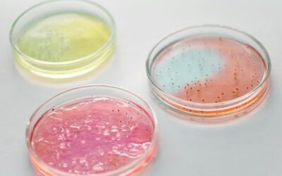 ¿Qué estudia la biotecnología microbiana?