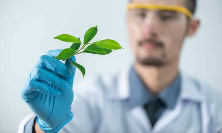 Descubre si tiene futuro estudiar ciencia y tecnología de los alimentos